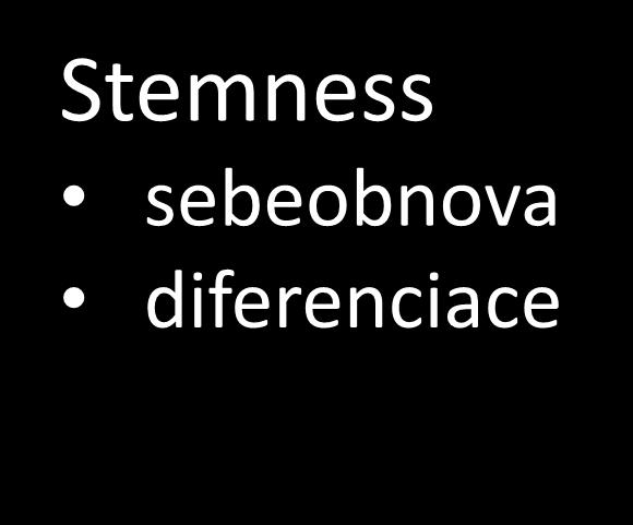 Stemness