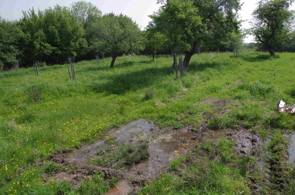 stanoviště dle