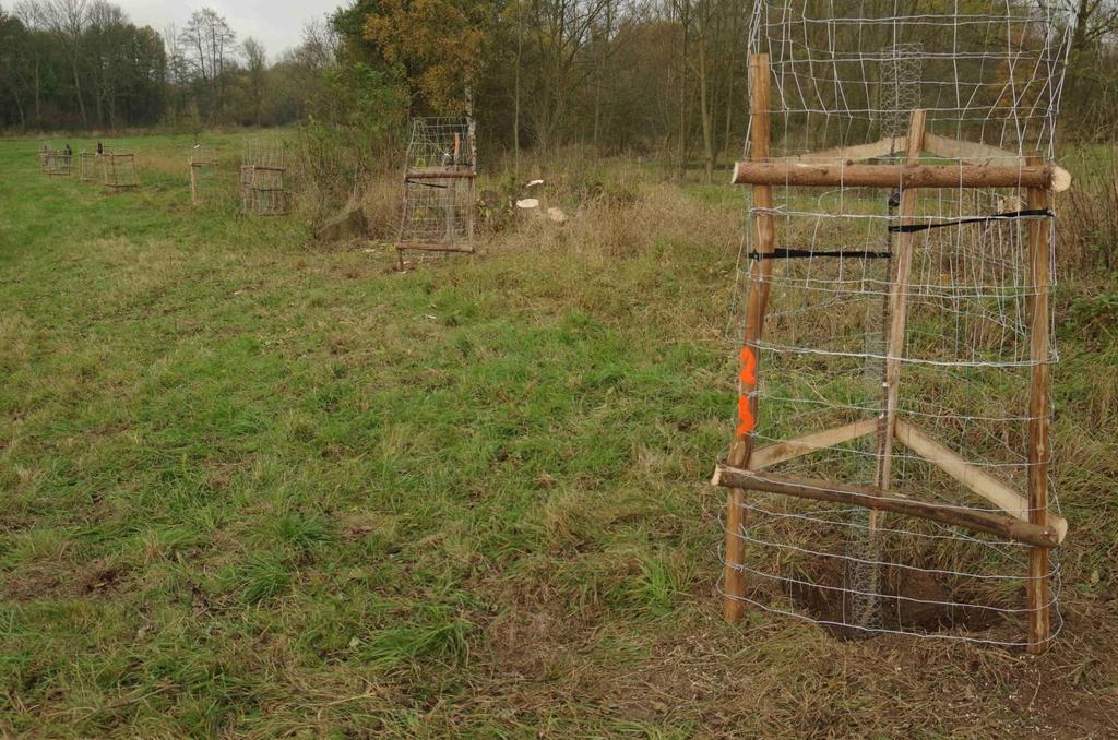 Vysazený a zabezpečený strom - dobře Stromy jsou od sebe dostatečně vzdáleny Pletiva umožňují řez na kmeni i v korunce Ochranná konstrukce loupané trvanlivé dřevo Konstrukce je dostatečně stabilní i