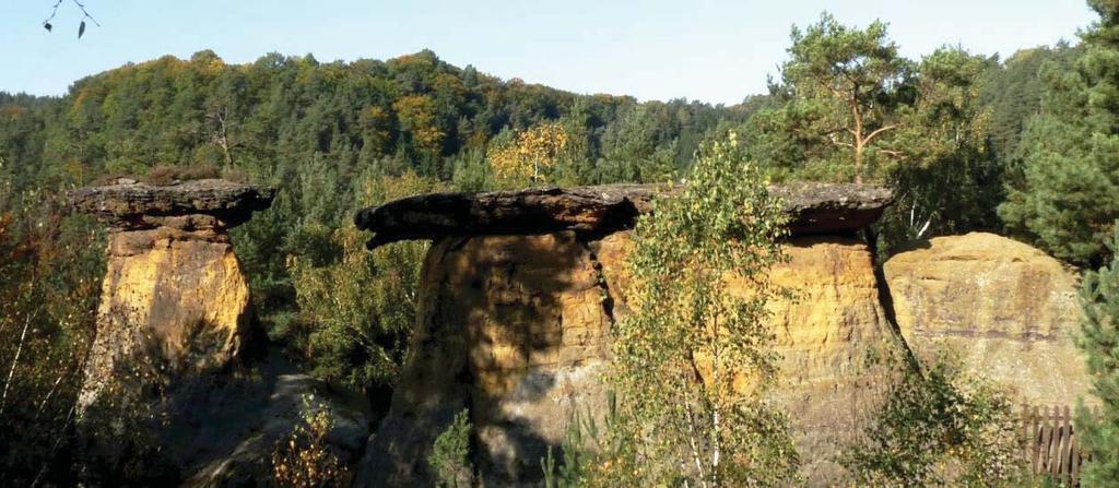 Přírodní památka je součástí území Mokřady Liběchovky a Pšovky začleněného do seznamu mezinárodně významných mokřadů podle Ramsarské úmluvy o ochraně mokřadů mezinárodního významu.