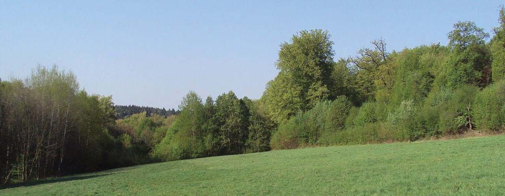 (Peucedanum cervaria) a kriticky ohrožené mochny skalní (Drymocalis rupestris). Na vrstvách kyselých pískovců rostou nenáročné běžné acidofilní rostliny, např. vřes obecný (Calluna vulgaris).