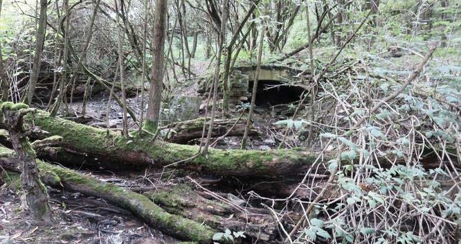 ŽERKA Obr. 8-21. Zpustlý pramen v EVL Žerka (foto: krausv, mapy.cz) Území EVL leží v blízkosti JZ hranice CHKO Kokořínsko, asi 7,5 km S od Mělníka.