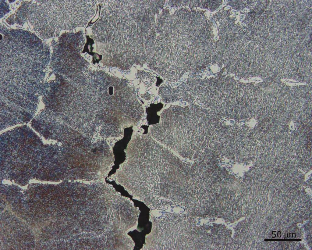 Struktura Inconel 713LC po creepové zkoušce při teplotě 1000 C a zatížení 80MPa: Obr.