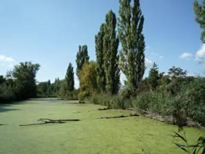 Ledárenské alfa - mezosaprobity eutrofie - polytrofie parametr hloubka vody mocnost sedimentů