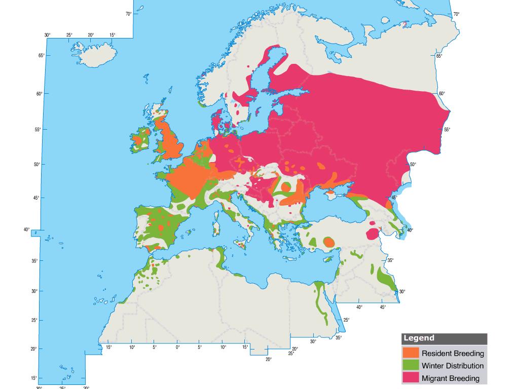 & Scott 2006). V současné době je však vzhledem k poklesu ve více zemích populace hodnocena jako ubývající (BirdLife International, 2004).