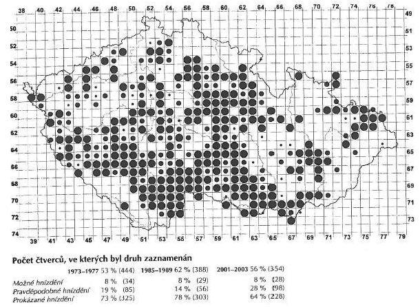 Obr. 2. Mapa rozšíření poláka velkého v ČR v letech 2001-2003 (Šťastný et al., 2006) 2.1.2 Polák chocholačka (Aythya fuligula, Linné 1758) Polák chocholačka je kachna střední velikosti.