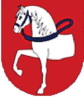 Tabulka 2: Základní informace o městě Hlinsko Hlinsko znak/vlajka status: město NUTS 5 (obec): CZ0531 571393 kraj (NUTS 3): Pardubický (CZ053) okres (NUTS 4): Chrudim (CZ0531) obec s rozšířenou