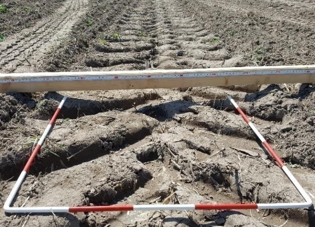 Obr. 3. Povrch zpracované půdy vyvíjenou technologií agresivní podmítky a zapravení posklizňových zbytků ječmene inovovaným talířových kypřičem (25. 8. 2017) Etapa 4.