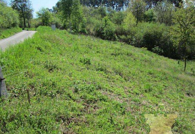 9) Stavební pozemek, Zvírotice, okres Příbram Stavební parcela v katastru obce Zvírotice.