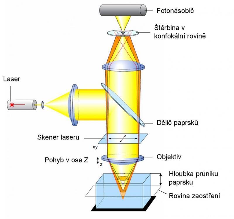 2.5 Inconel 718 [19], [20] Obr. 2.19 Princip konfokálního mikroskopu [15] Jedná se o slitinu, jejíž základ chemického složení tvoří nikl.