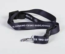 Nakupujte ve fanshopu Dynama!