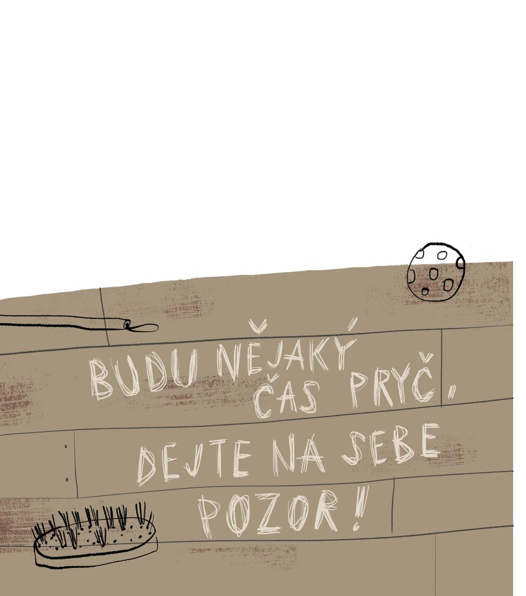 MÍLA Jak šel den za dnem, i Šedíkovi bráškové mizeli z pelechu čím dál častěji.