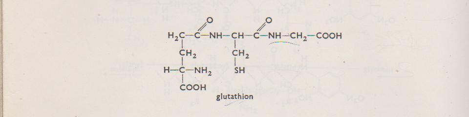 Glutathion ) Glutathion- se může snadno