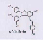(Bode, L,M. Bunzel, D. Huch, M. aj. In vivo and in vitro metabolism of trans - resveratrol by human gut microbiota Am. J. Clin. Nutr.