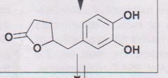 360 mg Pycnogenolu (96, 97).