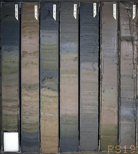 Stratigrafie kvartéru: MIS a OIS fáze MIS = marine isotope stages, marine oxygen-isotope stages; OIS = oxygenisotope stages jedná se o milníky střídání teplých a chladných fází v paleoklimatu Země