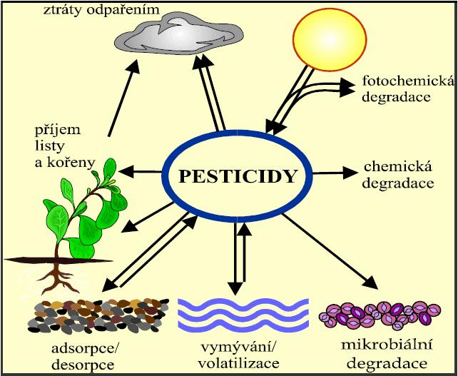 Obrázek č.2: Pesticidy v prostředí [28] 2.6.2 Fyzikálně chemické vlastnosti Účinnost pesticidů významně ovlivňují jejich fyzikálně chemické vlastnosti.