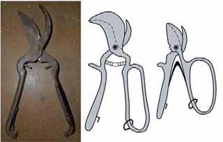 Vinohradnické nože se skládaly z několika částí (Obrázek 1), nejčastěji z čepele, obloukového ostří a rukojeti.