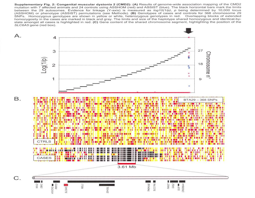 Association mapping (using SNPs) and identification of causative