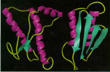 Normální a abnormální konformace prionů (vlevo normální, vpravo abnormální) The figure at right shows a model of two conformations of prion; on the left is the known, normal conformation of the