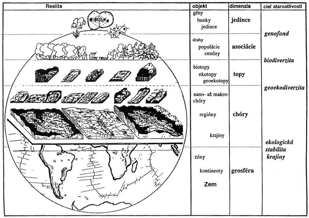 Obr. 1 Různé úrovně geosystému (Miklós, Izakovičová 1997) Struktura - uspořádání (např.