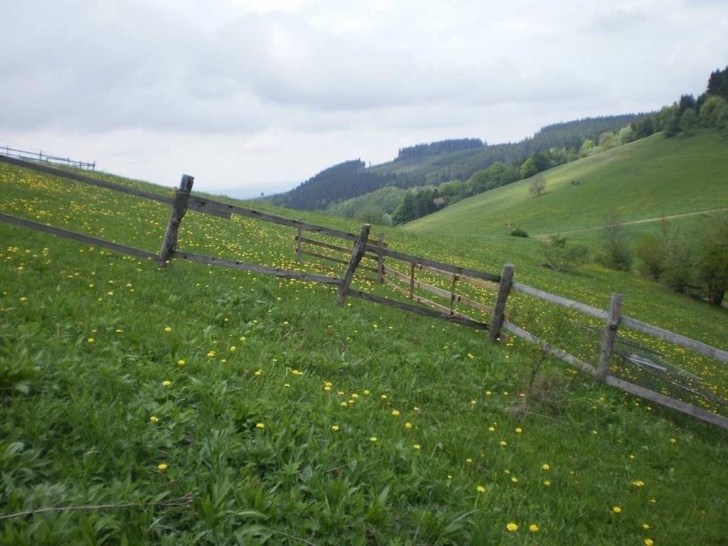 1: jarní vypalování