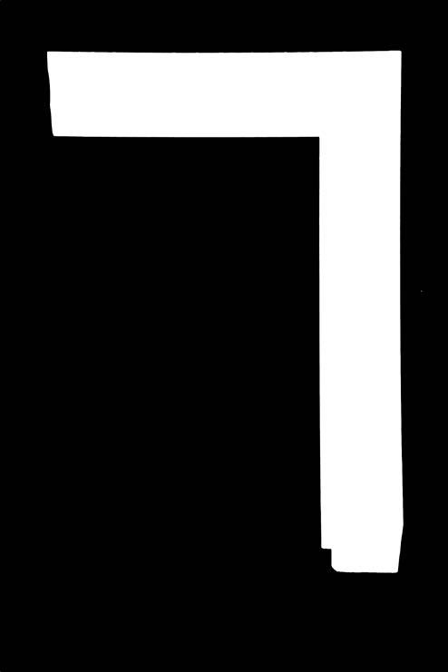 cz section