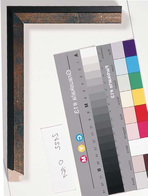 cz sekce katalog.