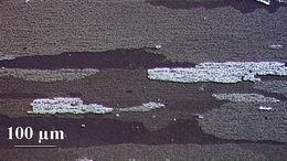 Z40, rekrystalizovaný materiál se středně velkými zrny e) S60, rekrystalizovaný materiál f) Z60,