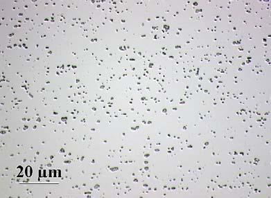 velikosti přibližně 500 µm na délku a 50 µm na šířku (Obr. 16a), b), c)).
