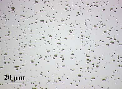 kolem 100 µm na délku a 20 µm na šířku (Obr. 16e), f)).