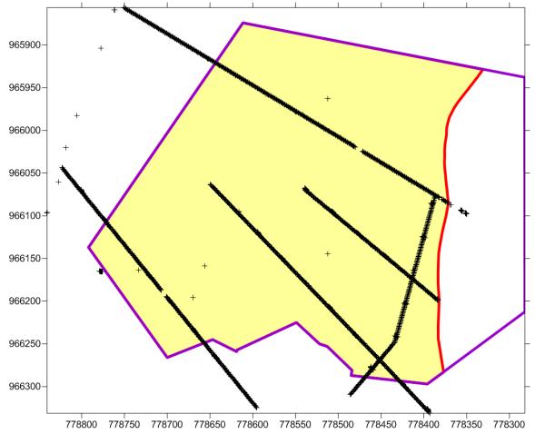 WP4 - Prostorové modelování ložisek nerostných surovin anizotropii pole, kterou lze eliminovat afinní transformací souřadnic. Pole je izotropní, jsou-li dosahy směrových variogramů přibližně stejné.