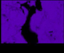 Spectrum 17 74,6 25,4 TiNi 3 a) b) c) Obr.