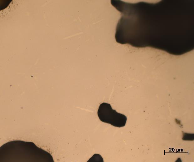 následným rychlým ochlazením ve studené vodě. Cílem tohoto experimentu bylo zjistit fázové složení po dvouhodinové výdrži na teplotě 1000 C, ještě než došlo k ochlazení.