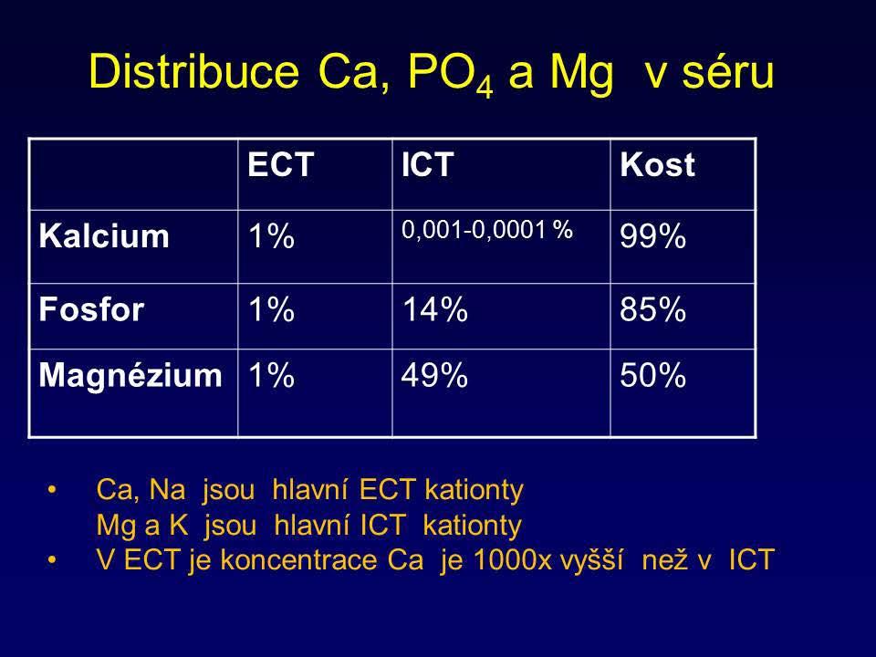 Metabolizmus kalcia, fosforu a magnézia - příprava Klíčové informace Základním cílem je udržení normokalcémie a normofosfatémie.