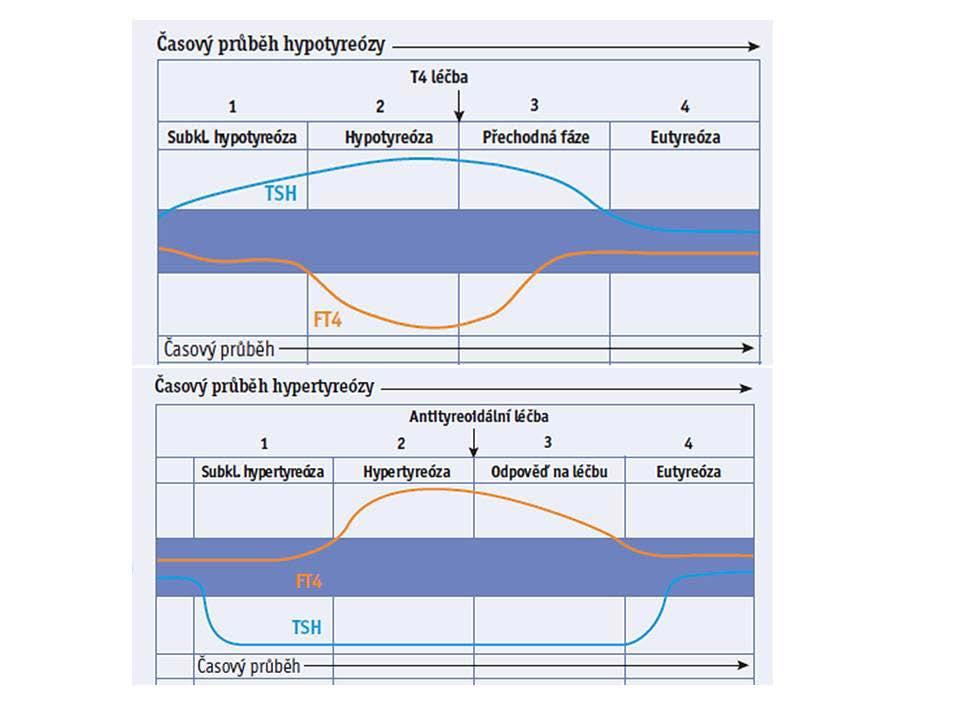 Laboratorní vyšetření poruch štítné žlázy KAPITOLA 11 Obrázek 11.