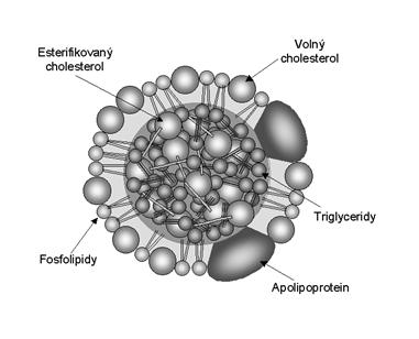 Sérové lipidy a lipoproteiny, vztah k aterogenezi KAPITOLA 20 Obrázek 20.