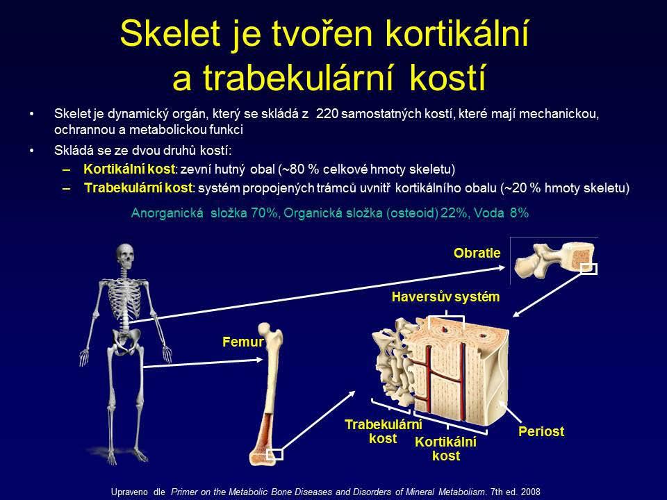 Kostní metabolizmus - příprava KAPITOLA 25 Existují dva základní typy kosti: a) kortikální kost b) trabekulární kost Kortikální (kompaktní) kost tvoří asi 80% celkové kostní hmoty a je složena z