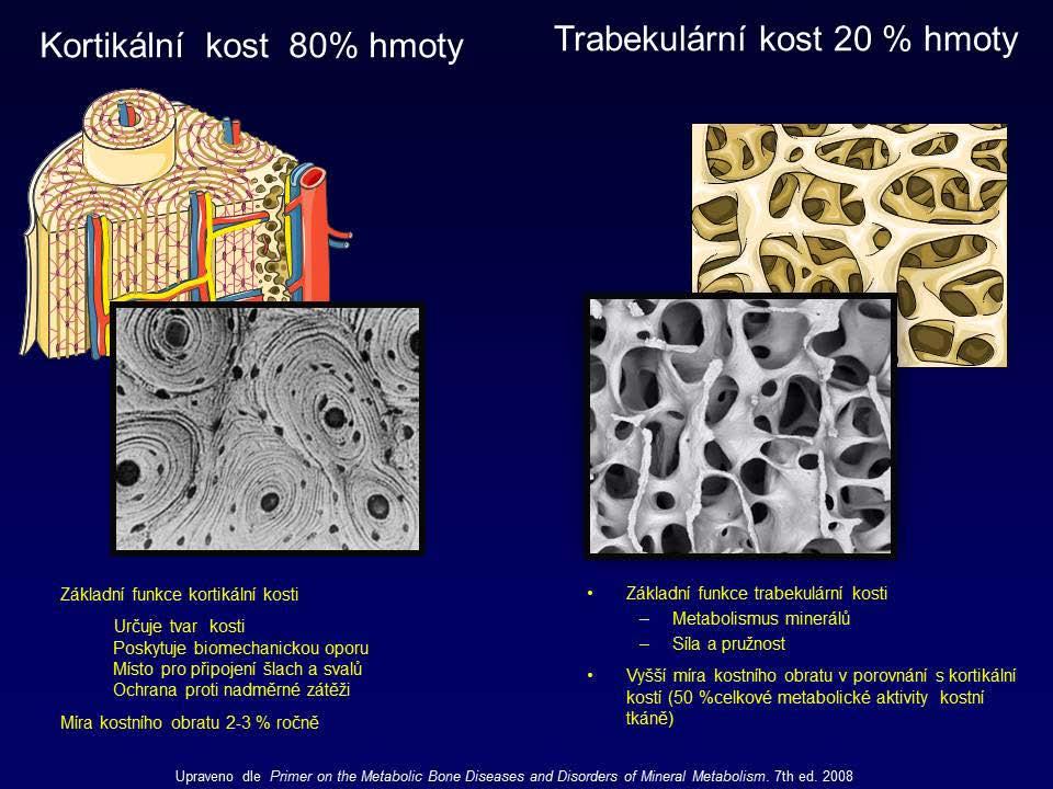 Kostní metabolizmus - příprava KAPITOLA 25 Složení kosti Kost se skládá z vody 8%, anorganické (70%) a organické (22%) složky.