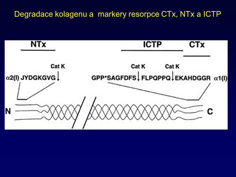 Kostní metabolizmus Za některých patologických situací převládá jiný způsob degradace kolagenu typu I a to pomocí Matrixových metaloproteináz (MMP), v tomto případě MMP- 9.