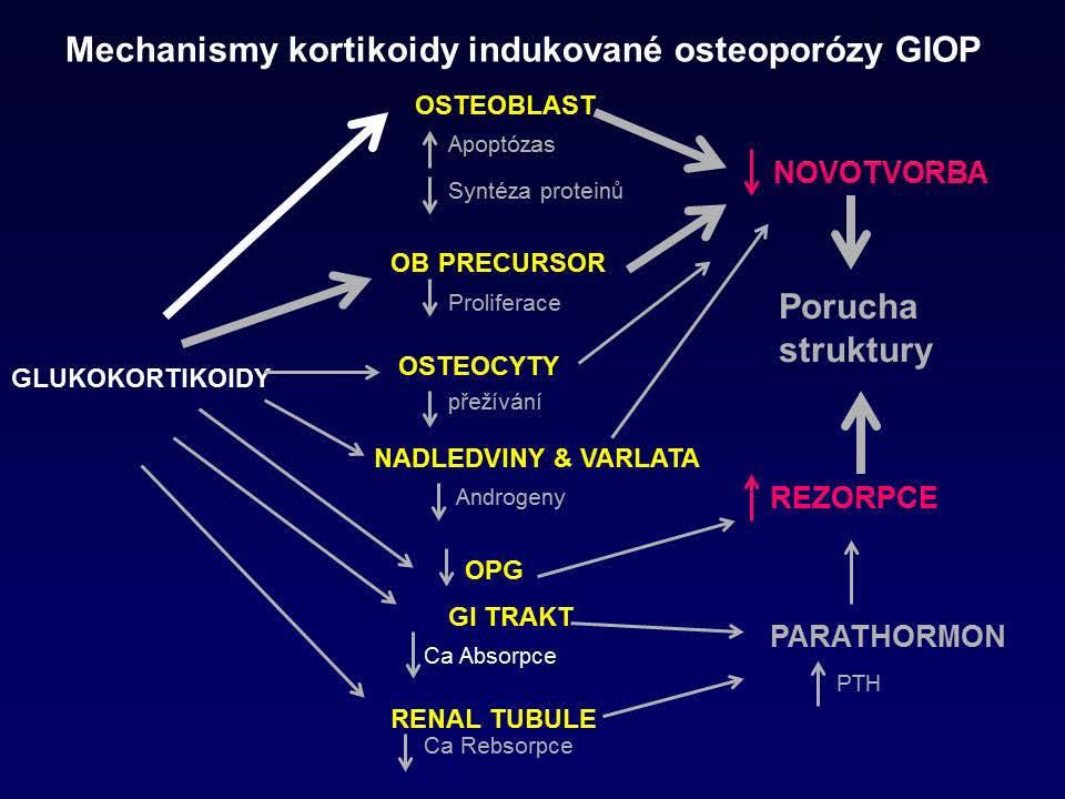 Kostní metabolizmus rychlé indukci osteoporózy. Ubývá především trabekulární kost (maximum zlomenin v axiálním skeletu-obratle), maximum úbytku je během prvních 12 měsíců léčby.