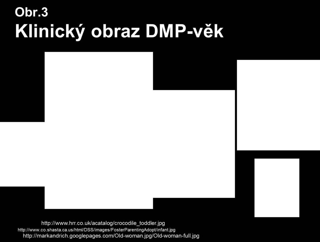 sem plodu) - obr.3.