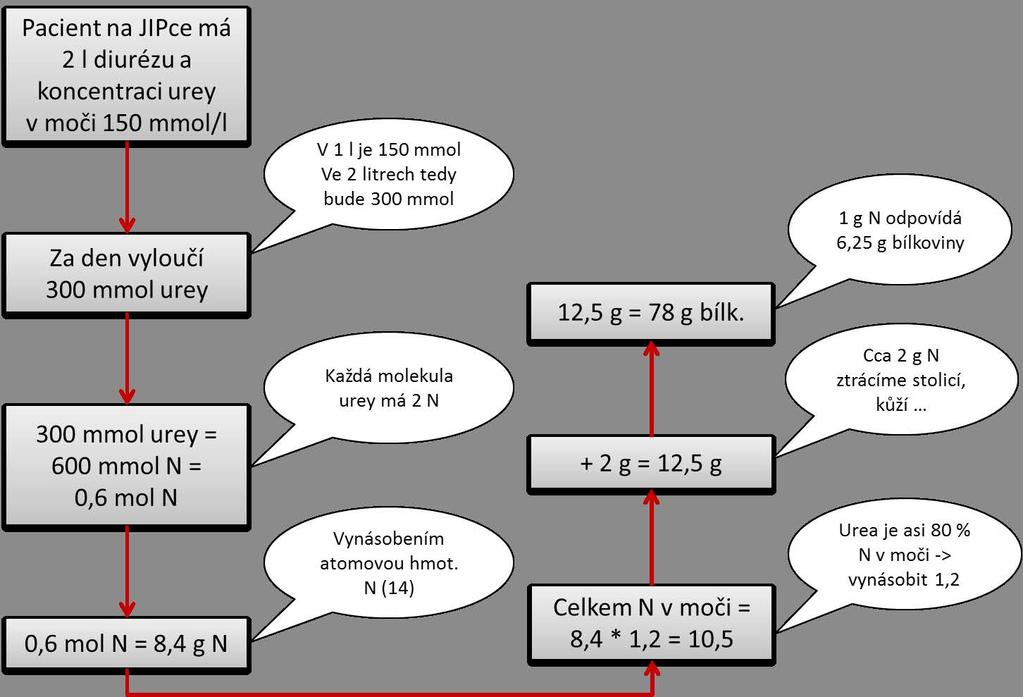 Nutrice a metabolické bilance C, vitamin A, acidum folicum, vit B12.