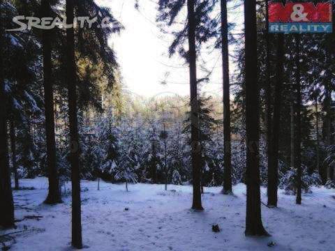6) Lesní pozemky o celkové velikosti 8 000 m² Lokalita: Zásada Nabídková cena: 24,- K /m 2 Popis: Lesní pozemky jsou v jednom celku, se smrkovým a
