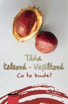 V tuto dobu mě navštívil člen redakční rady pan Sochor a sdělil mi, že s jinou firmou on, ani jeho kolegyně spolupracovat nebudou, že už jsou ve věku, kdy se jim nechce zvykat si na novou spolupráci.