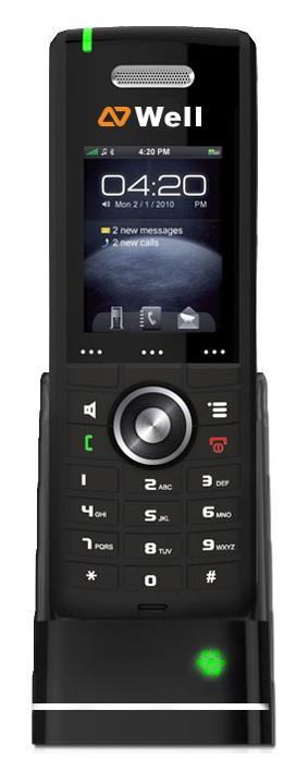 IP DECT
