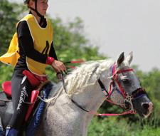 sezonu 2014