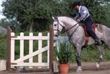 Jezdecký katalog 2014 Working equitation aneb zábavný způsob jak jezdit na koni Vysoký stupeň přiježděnosti, partnerství mezi koněm a jezdcem, zručnost, rychlost a hlavně