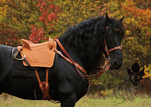 Foto: Rui Pedro Godinho Working equitation můžeme přeložit jako tradiční pracovní jezdectví, které využívá tréninkových metod, jež byly aplikovány na koně pracující s