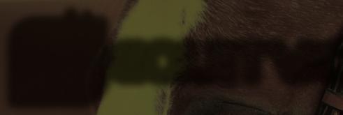 vzdělávací